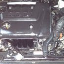 부민카프라자 이미지