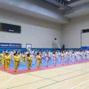 태성태권도체육관 이미지