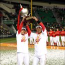 목포야구장 이미지