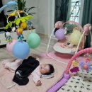 270-4022 | 육아: 백일상 준비&amp;차리기 후기(내돈내산)