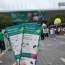 주은피시 | 테린이의 2024 WTA 코리아오픈 직관 후기