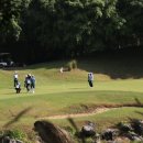 드래곤골프클럽 이미지