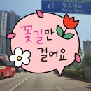연수자동차서비스 | 수원시운전연수 방문 장롱면허 도로연수 자동차 초보 즐거웠던 후기