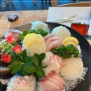 어도참치 이미지