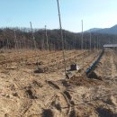 백신2리 이미지