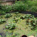 안동화련 이미지