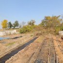 맛동산공인중개사사무소 이미지