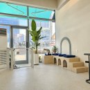 릴리리독 이미지