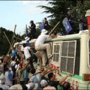 이네이쳐 이미지