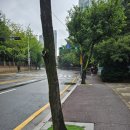 화정초교 이미지