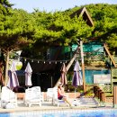 늘푸른 당구장 이미지