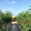 재희농장 이미지