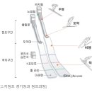 팀점프
