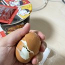 최성 태권도 이미지