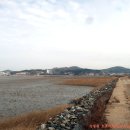 서해랑길 88코스 이미지