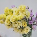 연제일신병원 이미지