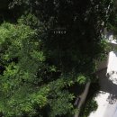 스튜디오아키