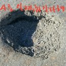 비아중학교 이미지