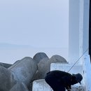 씨스페이스 미금점 | (또) 부산이랑 포항 다녀온 후기(아홉산숲, 태종대, 호미곶, 스페이스워크)