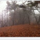 참나무와 소나무가 어울어진 사계절 캠핑장 등산로 (A 코스) 이미지