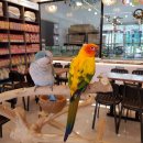 리프패럿진주점 이미지