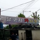 달구지카사랑 이미지