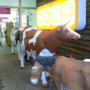 프란다스의개 이미지