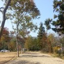 우산캠핑장 이미지