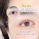 라베느래쉬