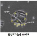 다나한방병원 네이버블로그