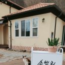 소법리푸른밤