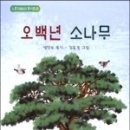 노문사