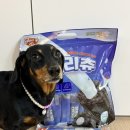 슈퍼포우 | 강아지장난감 추천 오래먹는 슈퍼포우덴탈츄부스터 후기