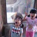 원할머니보쌈·족발김해내외점 이미지