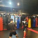 격투피트니스 송파 이미지