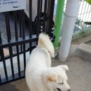 에버힐하우스펜션 티스토리