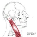 신농씨한의원 이미지