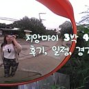 270-3025 | 241104-241107 여자 혼자 3박 4일 치앙마이 여행 후기, 일정, 경비 정리