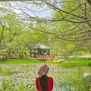 무궁화 꽃이 피었습 | 여행] 도심 속 힐링 낙원, 한국도로공사 전주수목원 튤립/풍경지/카페 솔직 방문 후기 (주소/영업시간)