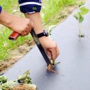 선은식농장 이미지