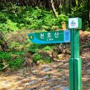 윤채농장 티스토리