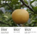 윤효경농장 네이버블로그