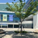 개미헤어아트 이미지