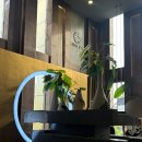 킹라온스파 이미지