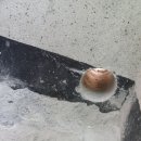 부천전기철물 이미지