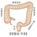 린치 증후군(Lynch Syndrome) 종양 혈액질환이란? 이미지