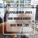 평촌나무동물병원 | 뭉이 동물병원 다녀오다! 설사했뭉...ㅠㅠ [평촌나무동물병원]