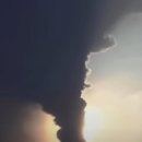 새(화산)2 이미지