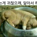 과천율목중학교 이미지