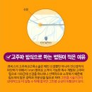 큐비스의원 이미지